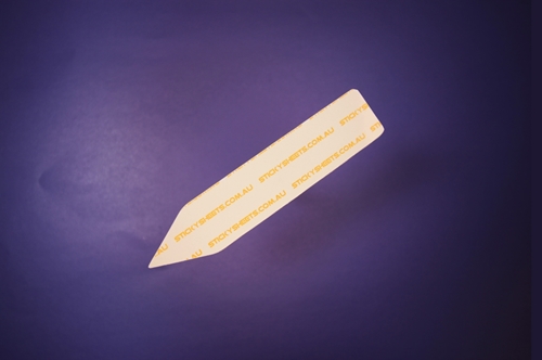 Show details for Pencil Shape