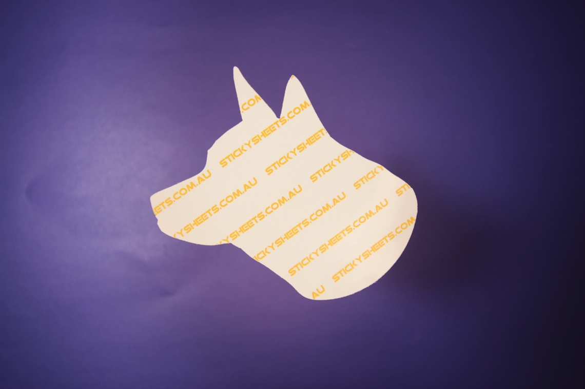 Show details for Dogs Head Shape